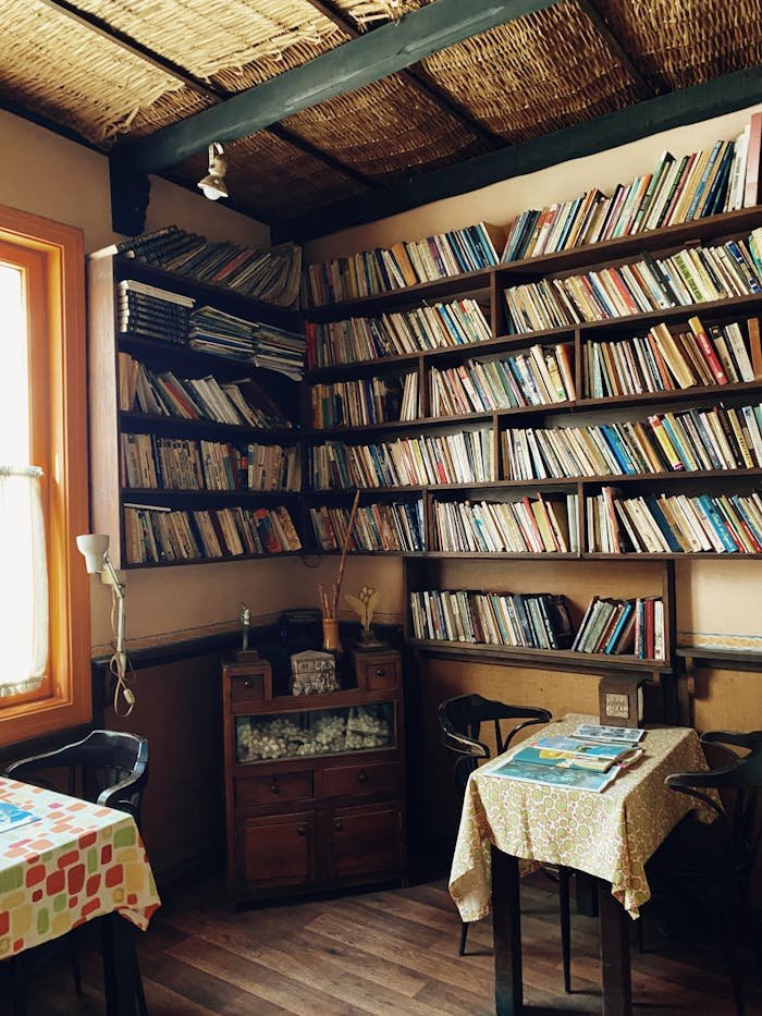 A serene library corner with bookshelves and tables in warm natural light.